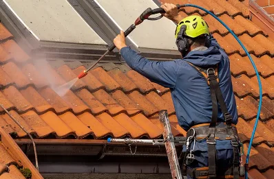 Démoussage et hydrofuge de toiture à Anneyron